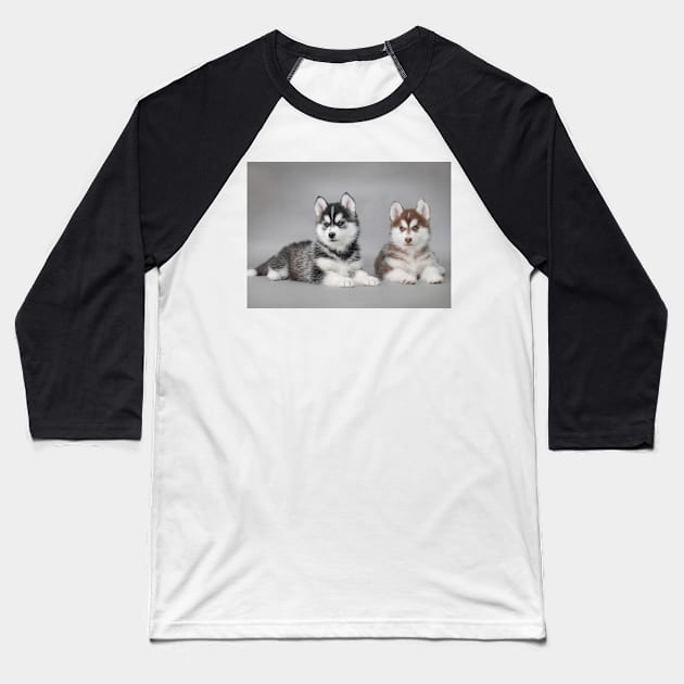 Husky puppies Baseball T-Shirt by PetsArt